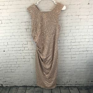 David Meister Nude Dress